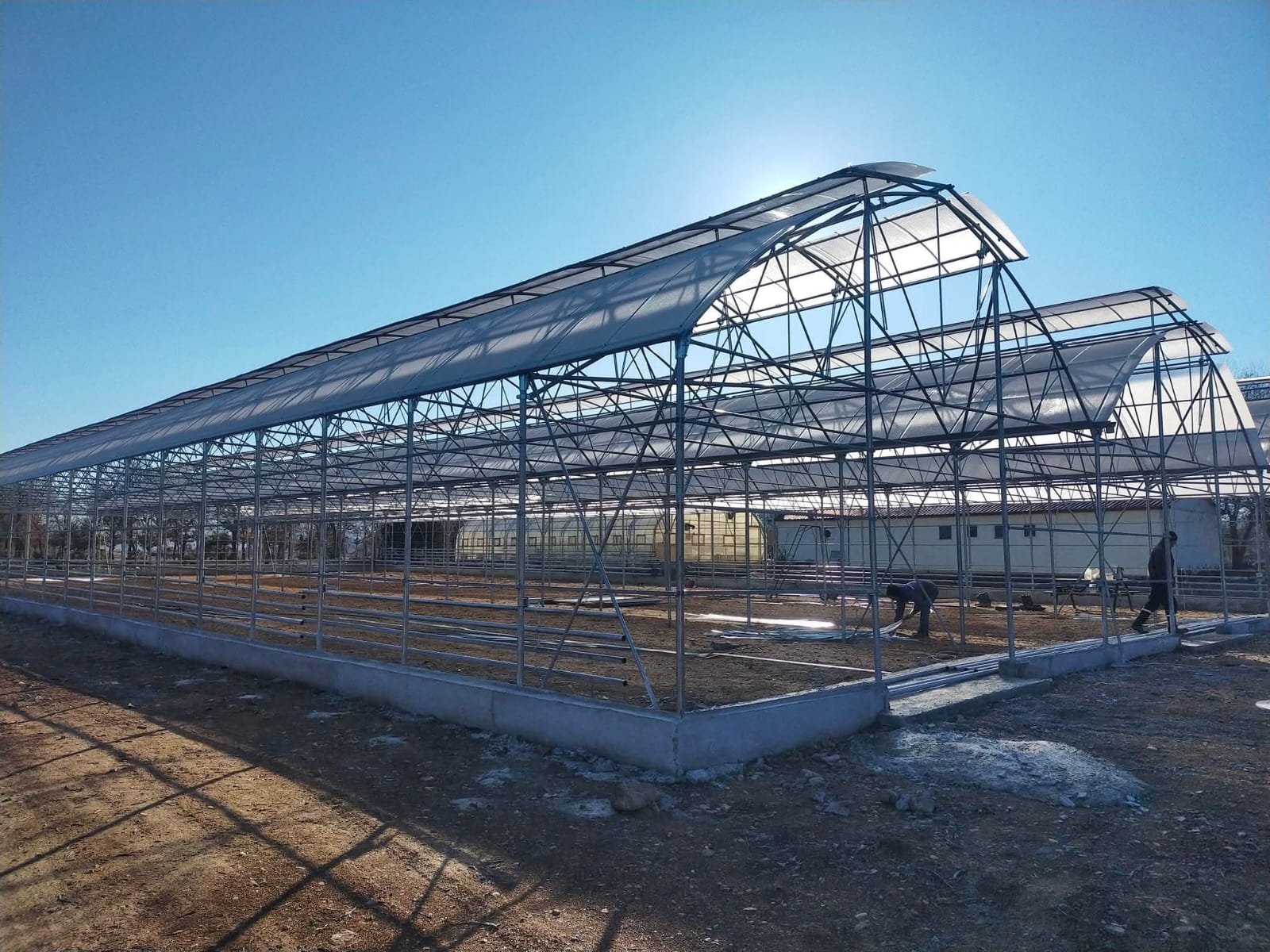 Afyon Orman İşletme Projesi