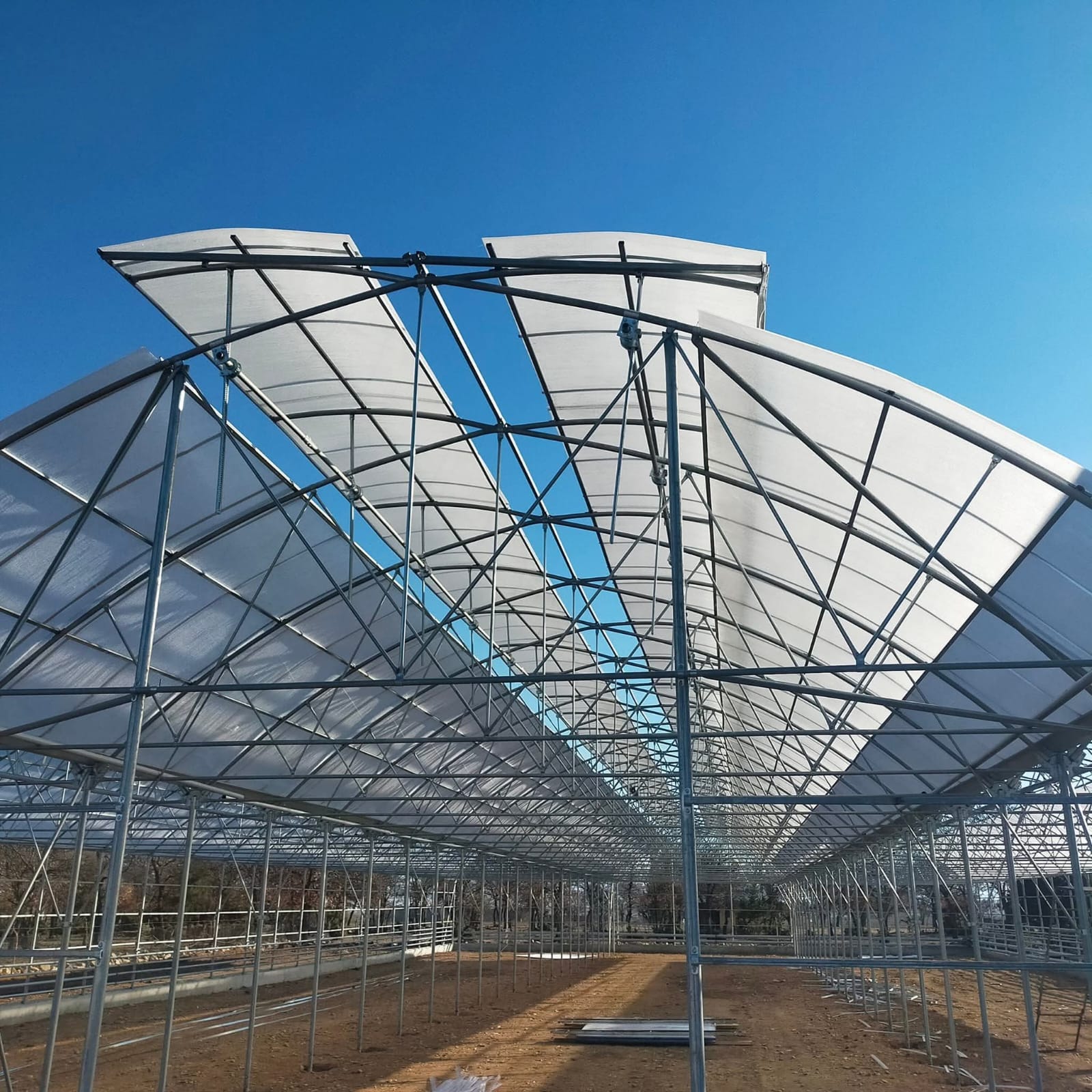 Afyon Orman İşletme Projesi