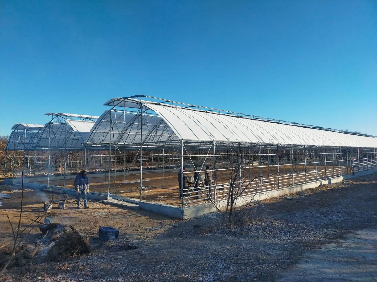 Afyon Orman İşletme Projesi