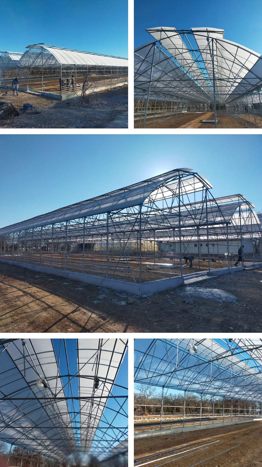 Afyon Orman İşletme Projesi