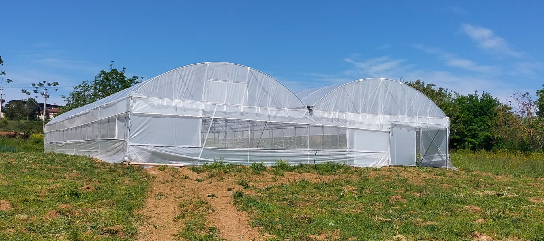 <strong>Akıllı Sera Çözümleriyle</strong> Üretimi Bir Üst Seviyeye Taşı